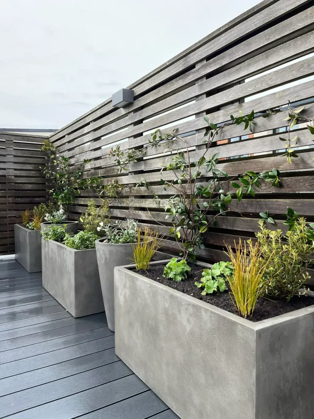 Planting schemes