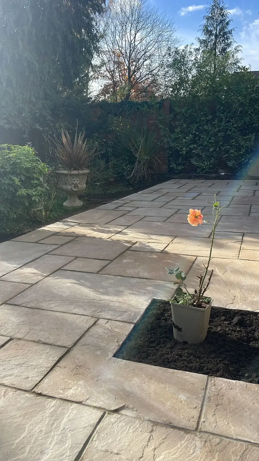 Completed sandstone patio framed by established garden planting